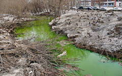 Река Люльченка окрасилась в ядовито-зелёный цвет