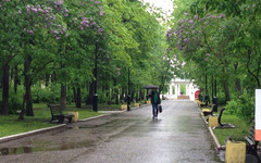 Погода в Кирове. В пятницу ожидается дождь и сильный ветер