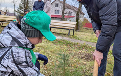 В Мурашах создали лесничество «Друзья леса»