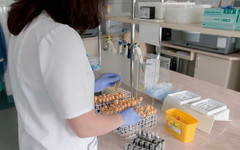 В Кировской области частная лаборатория делает тесты на коронавирус по назначению медиков