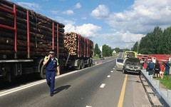 В ДТП с лесовозом под Кировом пострадал человек
