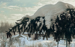 Какая погода будет в Кирове с 26 января по 1 февраля?