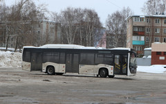 ЛДПР предложила сделать проезд в общественном транспорте бесплатным для детей