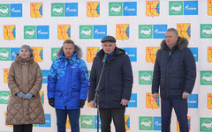 В Федосята и Климовку пришёл газ