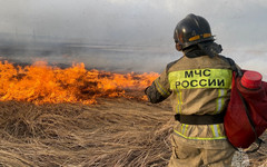 С начала сезона в Кировской области зарегистрировали 17 ландшафтных пожаров