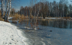 Погода в Кирове. В выходные похолодает до -13 градусов