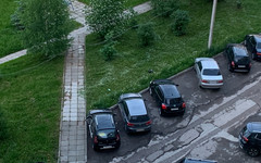 В Госдуме предложили ввести зелёные номера для электромобилей