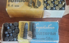 Житель Малмыжа осужден за хранение боеприпасов, найденных в лесу 18 лет назад