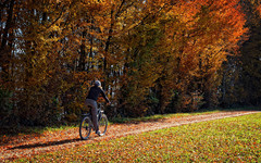 Осень на велосипеде. Советы для самых активных