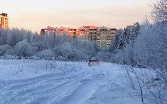 Кировчане пожаловались на автосалон, который якобы организовал тест-драйв внедорожников в Зубаревском лесу