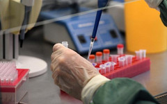 В России создали высокоточный тест на коронавирус
