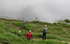 Жителю Сосновки вынесут приговор за браконьерство на воде