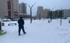 В Кирове приняли новый сквер на улице Риммы Юровской