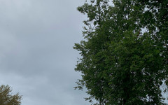 13 июня кировчан ждёт дождливая погода