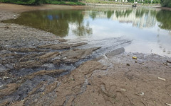 Как выглядит пруд в парке имени Кирова во время спуска воды. Фотолента