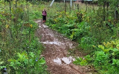 Кировские школьники идут на уроки по колено в грязи