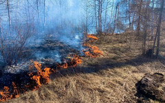 За сутки в Кировской области произошло пять лесных пожаров