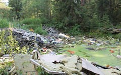 В Кирове арендатор лесного участка не убирал 14 мусорных свалок