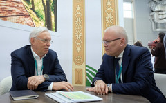 «Планируем обновить 125 машин». Александр Соколов рассказал о планах по закупке пассажирского транспорта