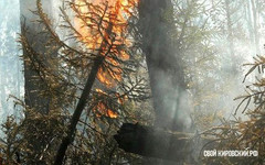 В Кировской области объявлен пожароопасный сезон
