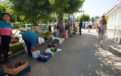Кировским садоводам разрешили бесплатно торговать овощами и фруктами