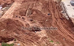 На стройке в Кирове заметили прогуливающихся баранов