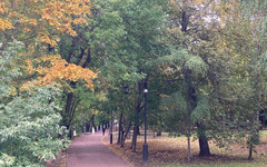 В Кировской области состоится второе голосование за благоустройство парков и скверов региона