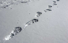 В Кировской области полицейские задержали предполагаемого разбойника по следам на снегу