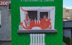 В Кирове развесили плакаты с котиками на электрошкафы для защиты от вандалов