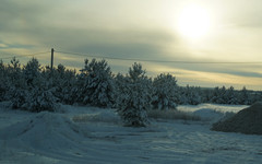 Постепенное потепление и снегопад: погода в Кирове 12 декабря