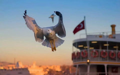«Открытие» Турции: что ждет кировский туррынок?
