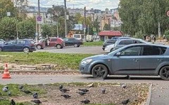 В Кирове «Киа» сбила 12-летнего мальчика на самокате