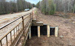 В Афанасьевском округе восстановили дорогу к мосту через Култан