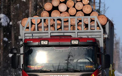 Из Кировской области вывезли 3,2 тысячи кубометров древесины без сертификатов