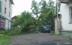 Кировчан предупреждают о сильном шквалистом ветре