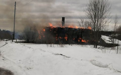 Женщина погибла при пожаре в Лузском районе