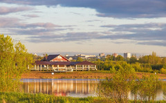 В Кирове отметят День отца в формате загородного фестиваля