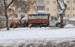 В Кирове продолжается обрезка