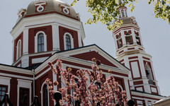 27 мая в Кирове потеплеет до +27