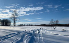 В Кировской области отменили соревнования по лыжным гонкам из-за отсутствия снега