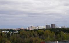В 2024 году в Кировскую область приехали более 36 тысяч человек