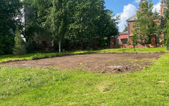 В Кирове появится детская площадка с «Чудо-деревом»