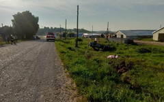 В Малмыжском районе в аварии погиб бесправник