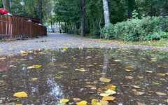 Погода в Кирове 10 сентября. Северо-западный ветер и небольшой дождь