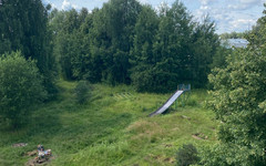В Белой Холунице появится новый сквер «Лесной уголок»