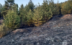 В Кировской области случился первый лесной пожар в этом сезоне
