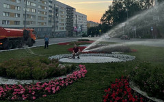 В Кирове ежедневно поливают гидровазоны, клумбы и контейнеры с растениями