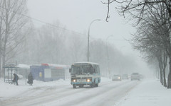 В Кирове родители оставили ребёнка умирать на автобусной остановке