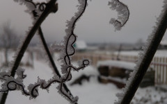 Кировчан ждут 30-градусные морозы