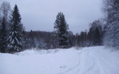 Пропавшую жительницу Кировской области нашли мёртвой в снегу